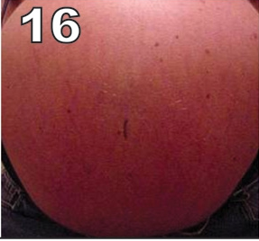 Labor or porn - image 16